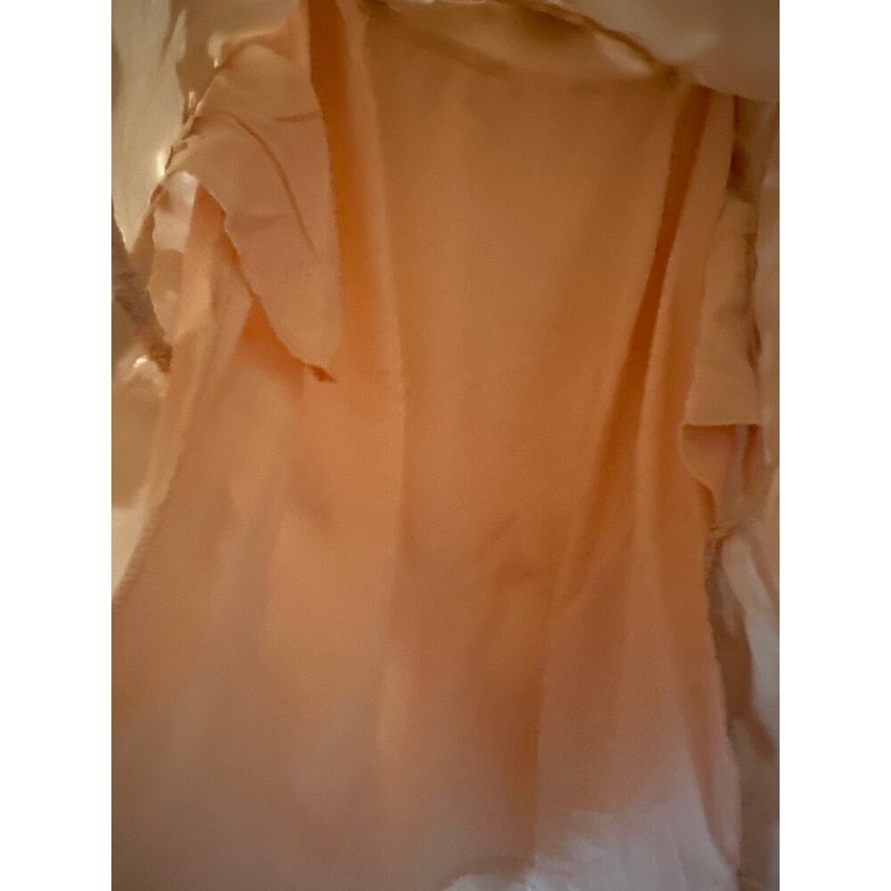 TUCKERNUCK EVERYTHING Must GO Champagne Fil Coupe Palmerston Dress - Picture 6 of 7